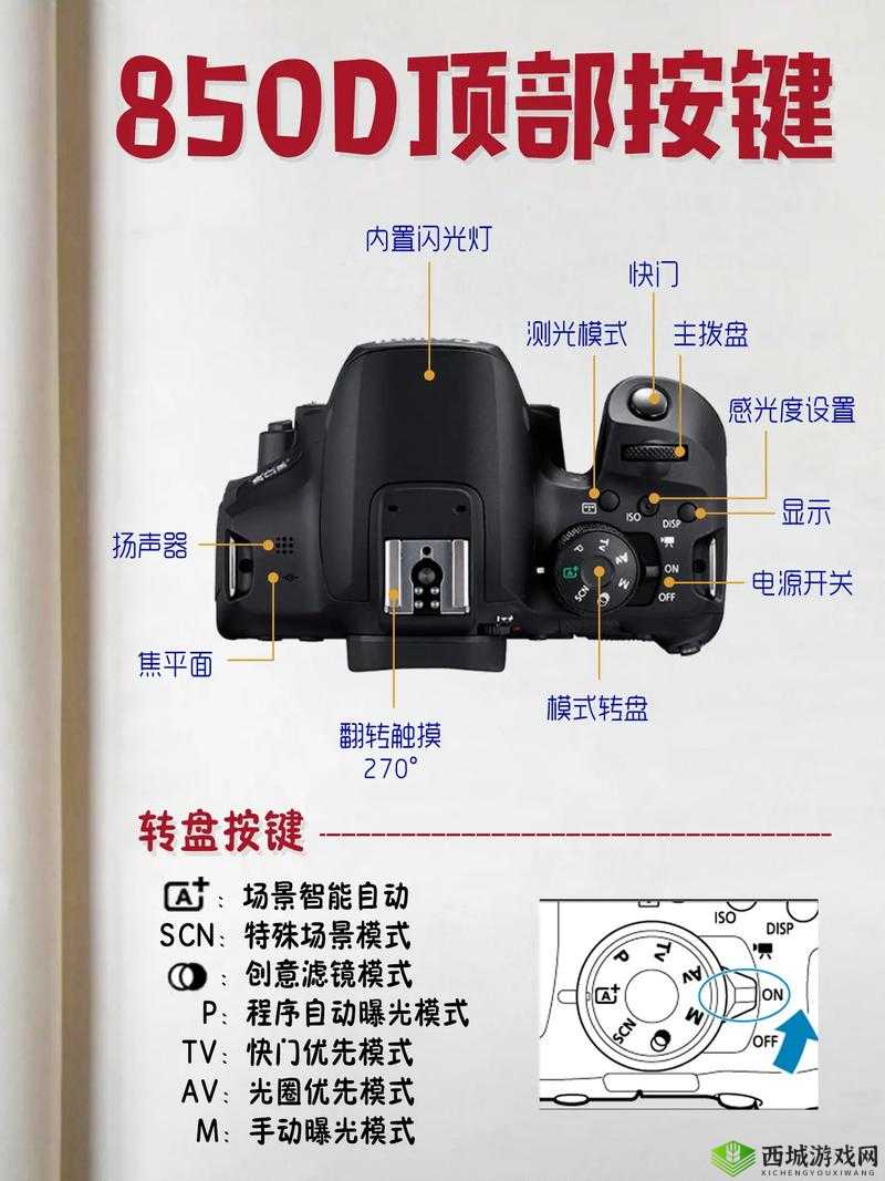 文字成精郎监控解密：通关攻略总览与实操指南