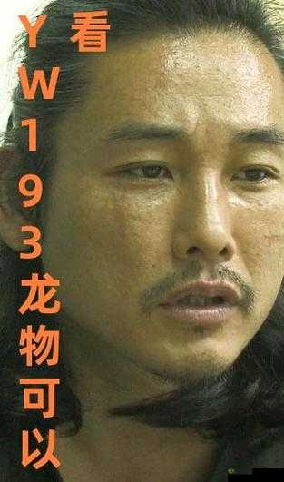 yw193龙物失联：探寻背后真相