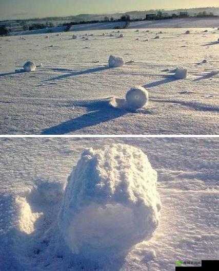 两团雪球快速摇动：奇妙的自然奇观