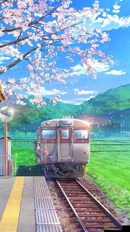 樱花动漫有广告弹窗：困扰、解决与未来展望