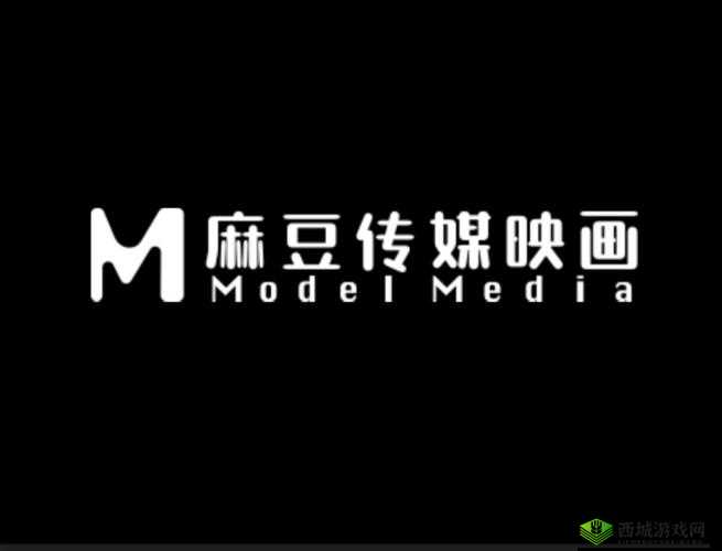 麻豆视传媒短视频网站下载资源丰富便捷获取
