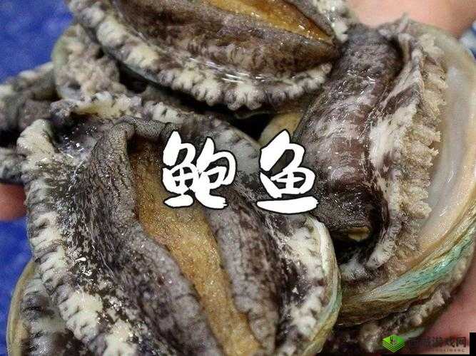 你的鲍鱼里会有别人的酸奶吗？这其中究竟隐藏着怎样的秘密
