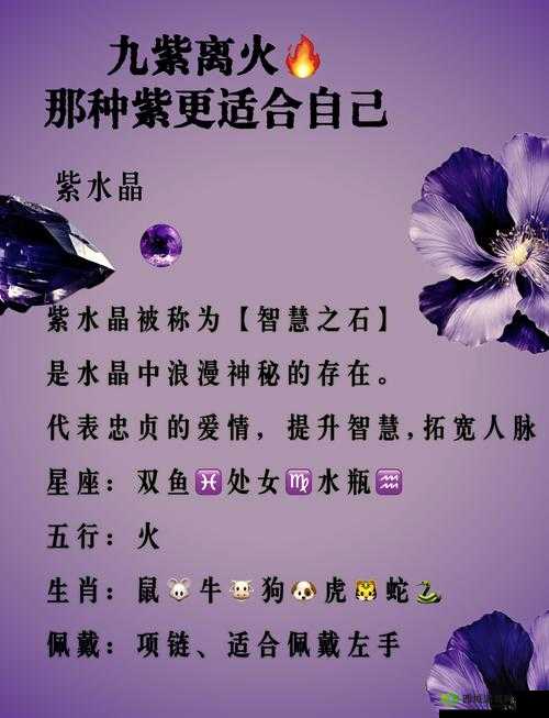 2025年蛇年春节期间以紫为核心元素的关键词创作法实例