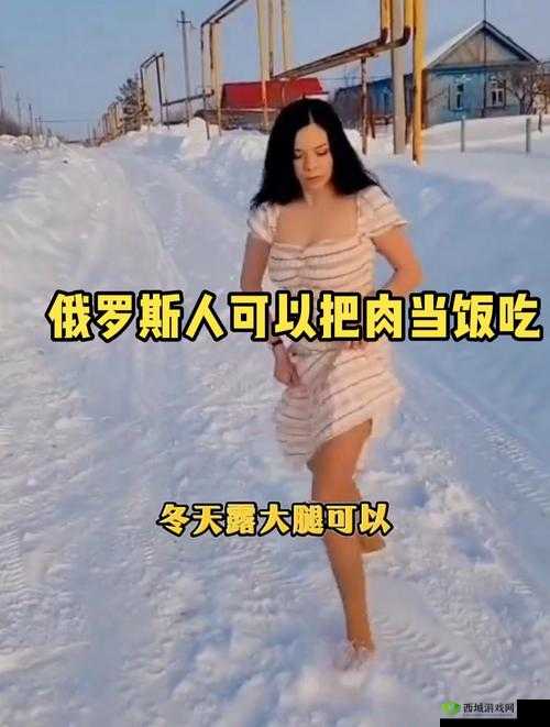 俄罗斯人与 zoom 人有何区别？全面解析两者差异
