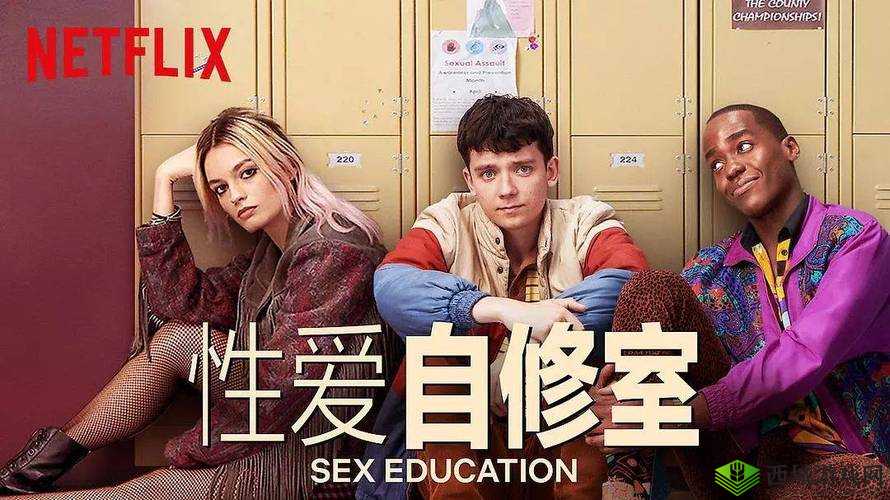12一13sex性HD高清资源全解析：最新内容与观看指南，全面了解与安全提示